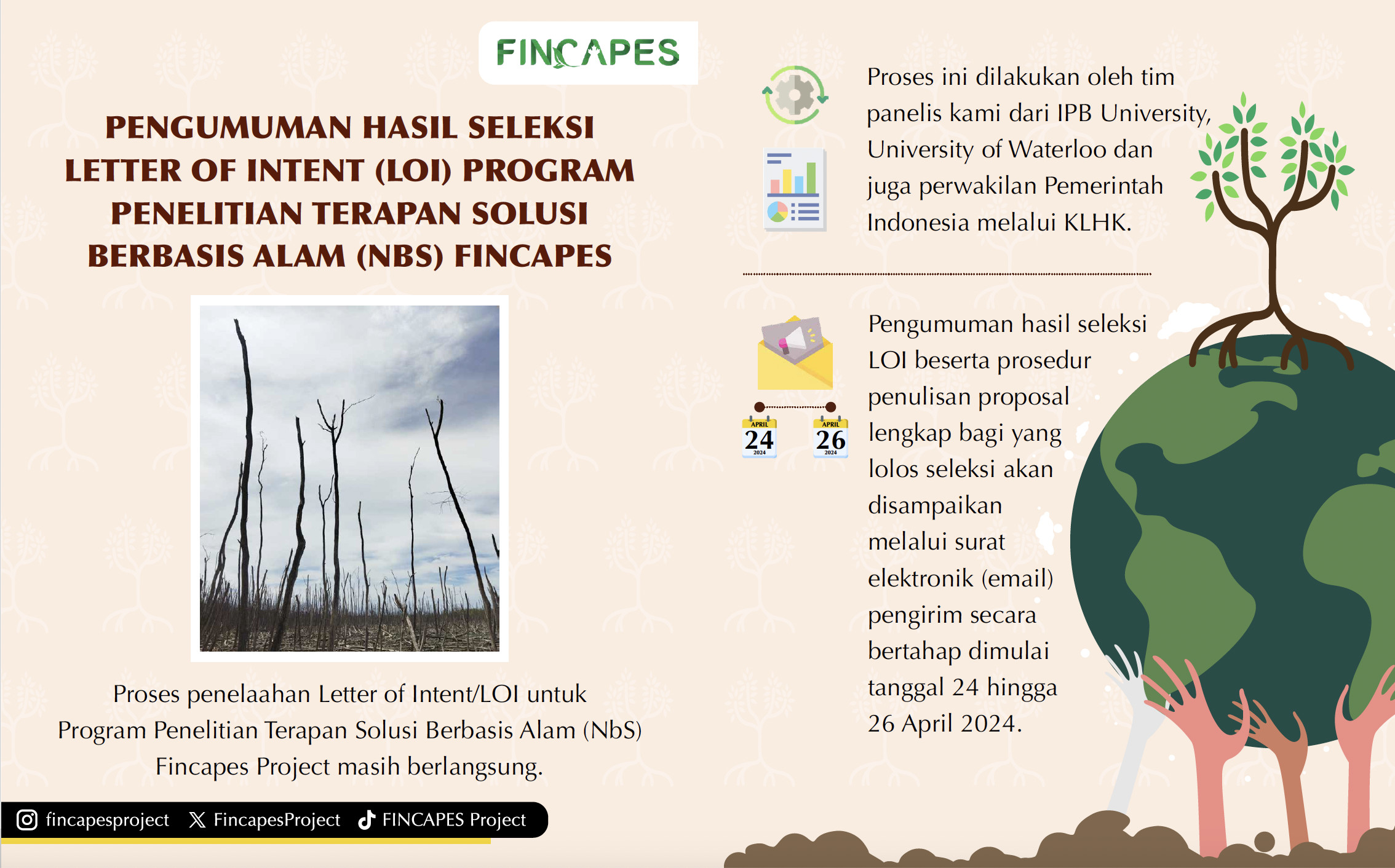 FINCAPES Collaborative Study Program on Nature-based Solutions