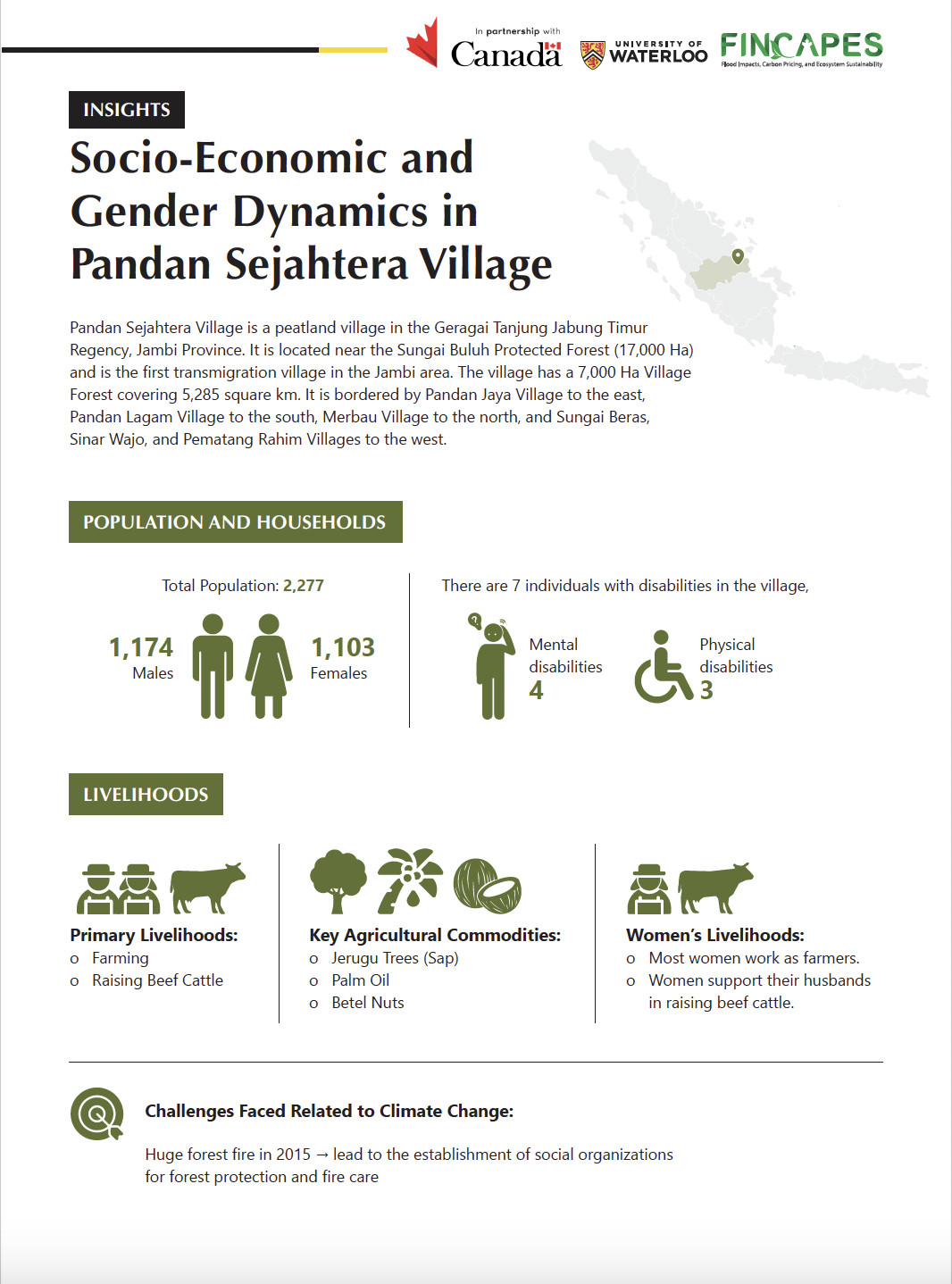 FINCAPES INSIGHTS: Socio-Economic and Gender Dynamics in Pandan Sejahtera Village