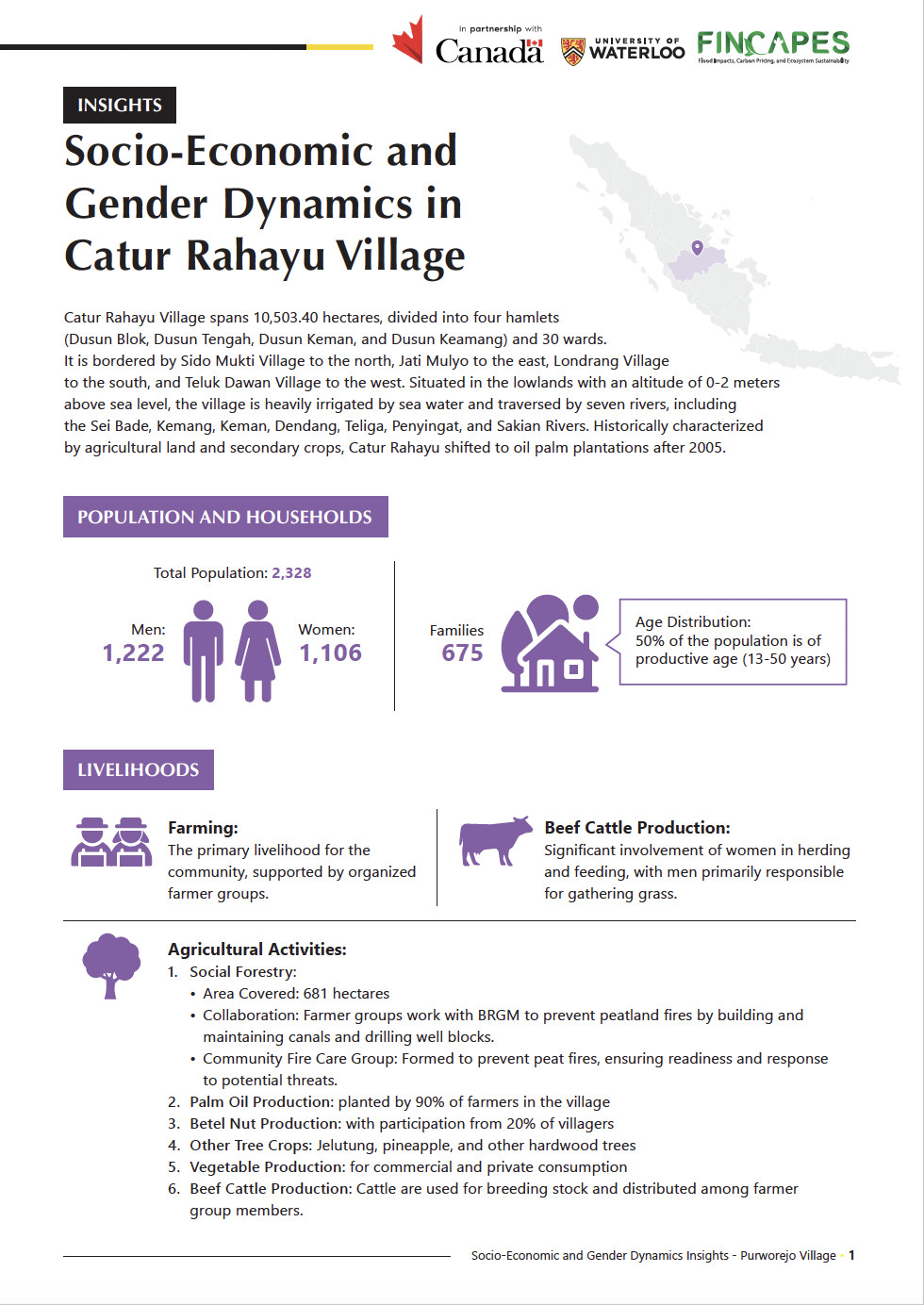 FINCAPES INSIGHTS: Socio-Economic and Gender Dynamics in Catur Rahayu Village