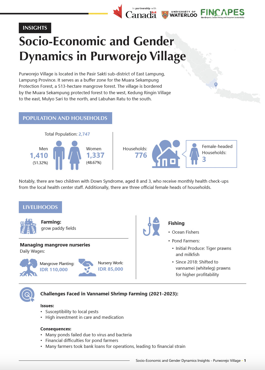 FINCAPES INSIGHTS: Socio-Economic and Gender Dynamics in Purworejo Village. 