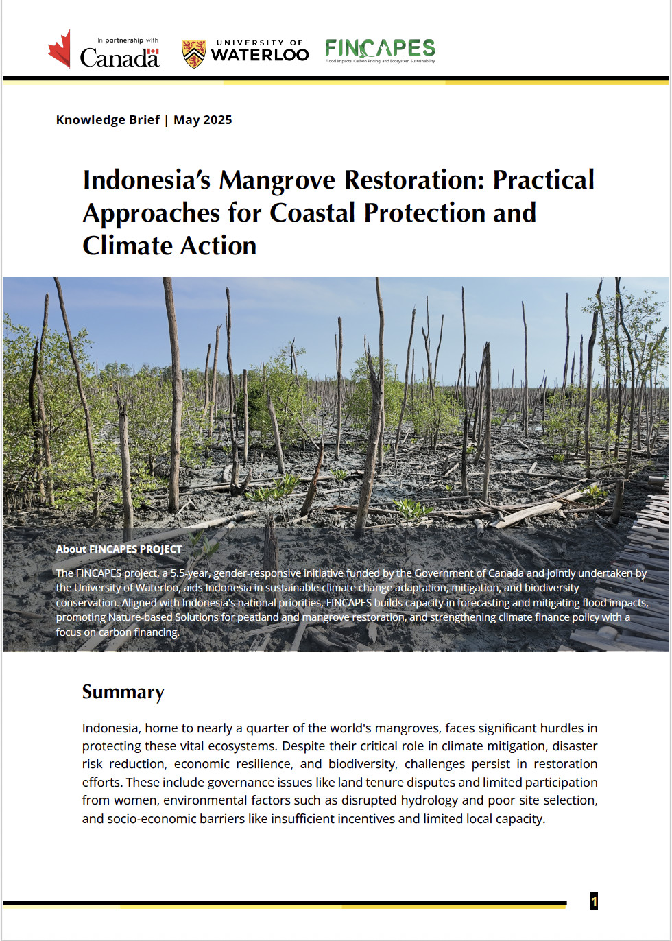Indonesia’s Mangrove Restoration: Practical Approaches for Coastal Protection and Climate Action