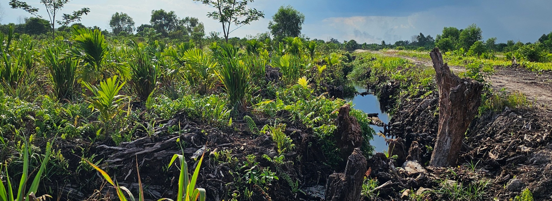 Building Blocks of Inclusion: Integrating Gender Equality and Social Economy Inclusion in the FINCAPES Journey