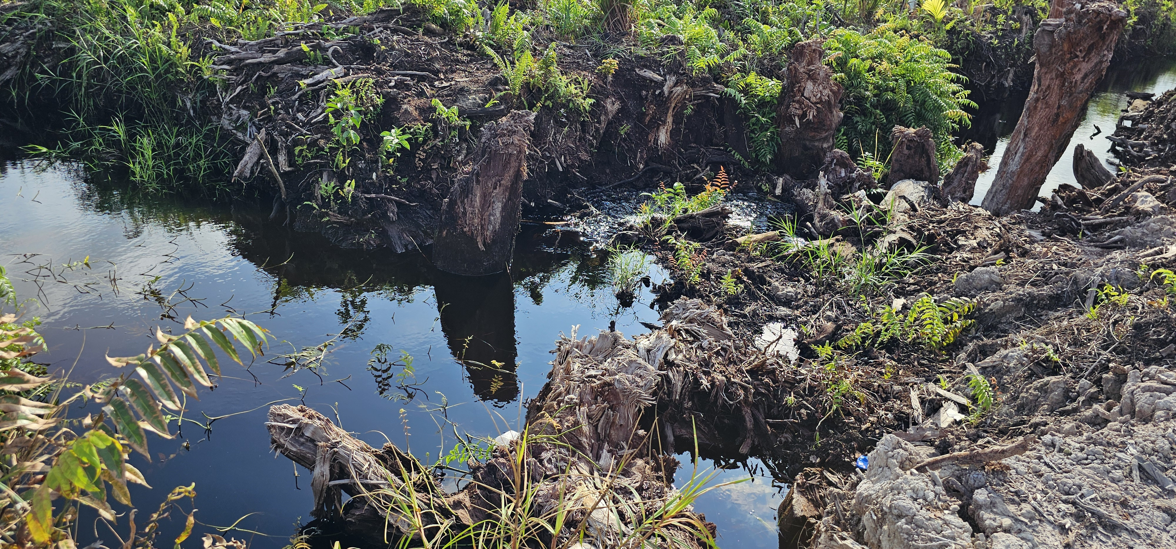 Vacancy Announcement: I-CAN Resource Mobilization Technical Associate