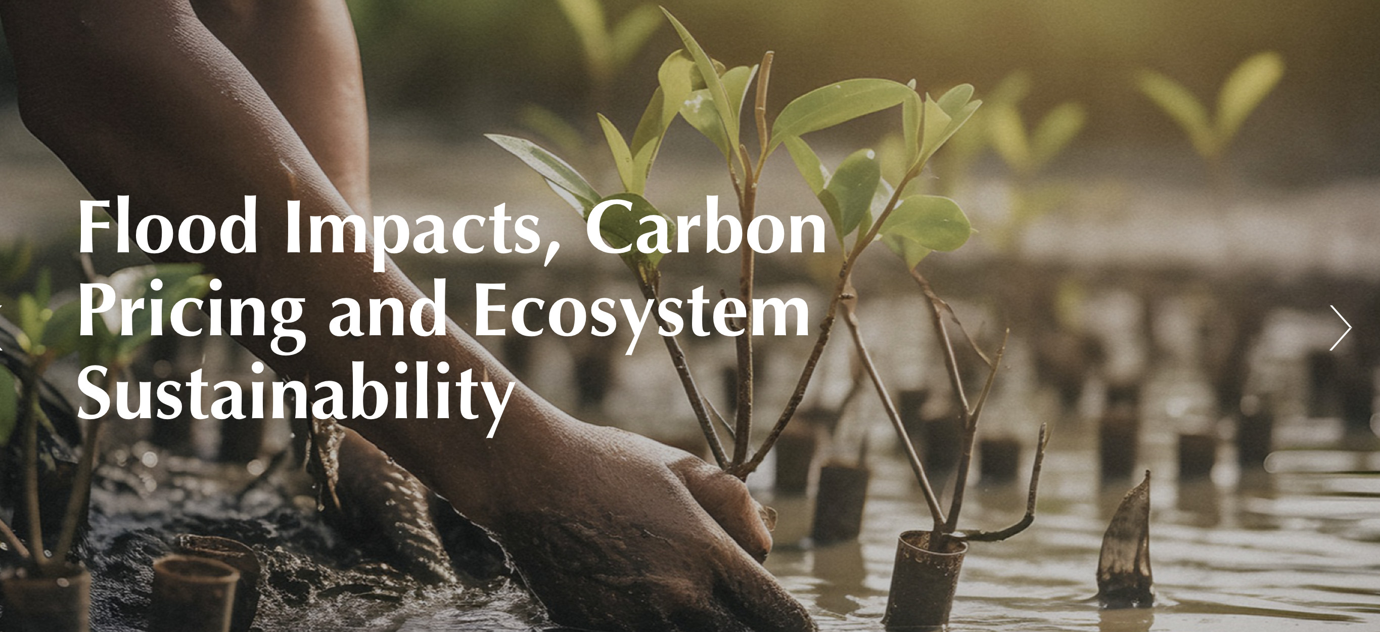 Procurement: Services for FINCAPES Website Enhancement