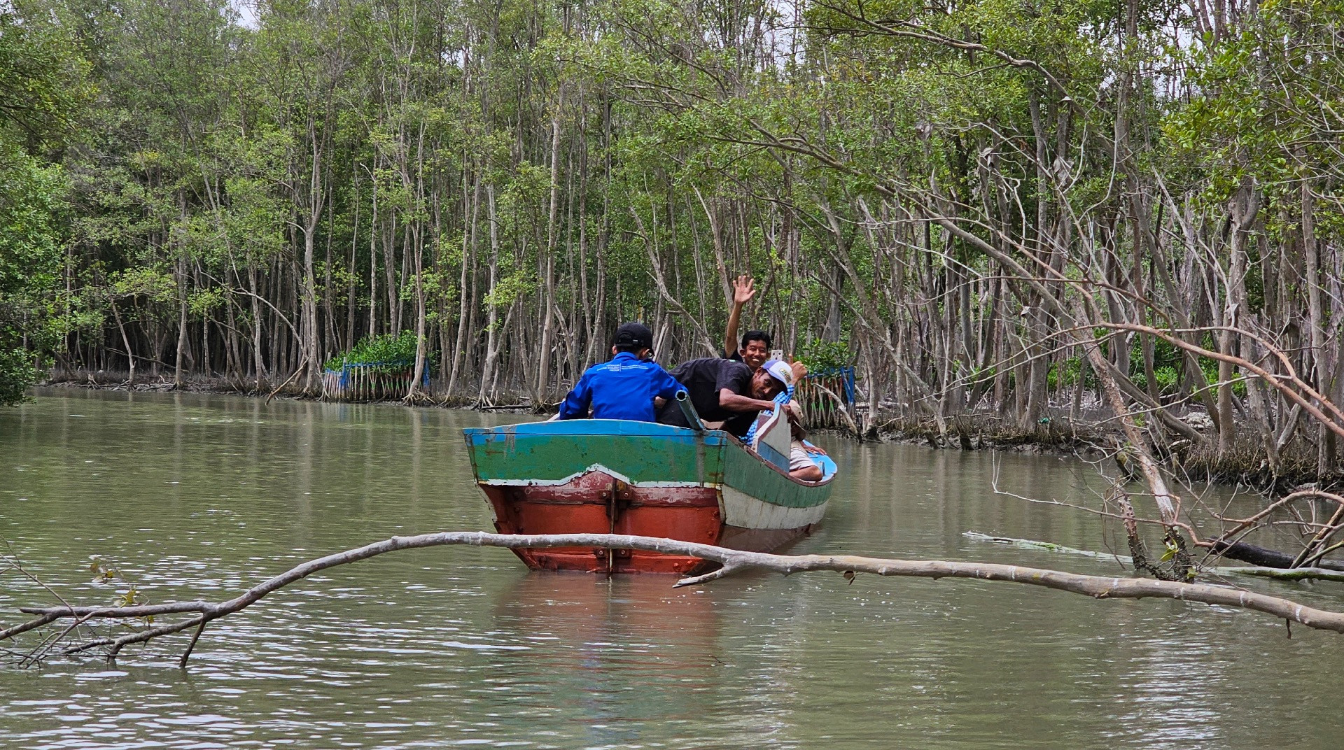 Exploring Pasir Sakti Mangrove