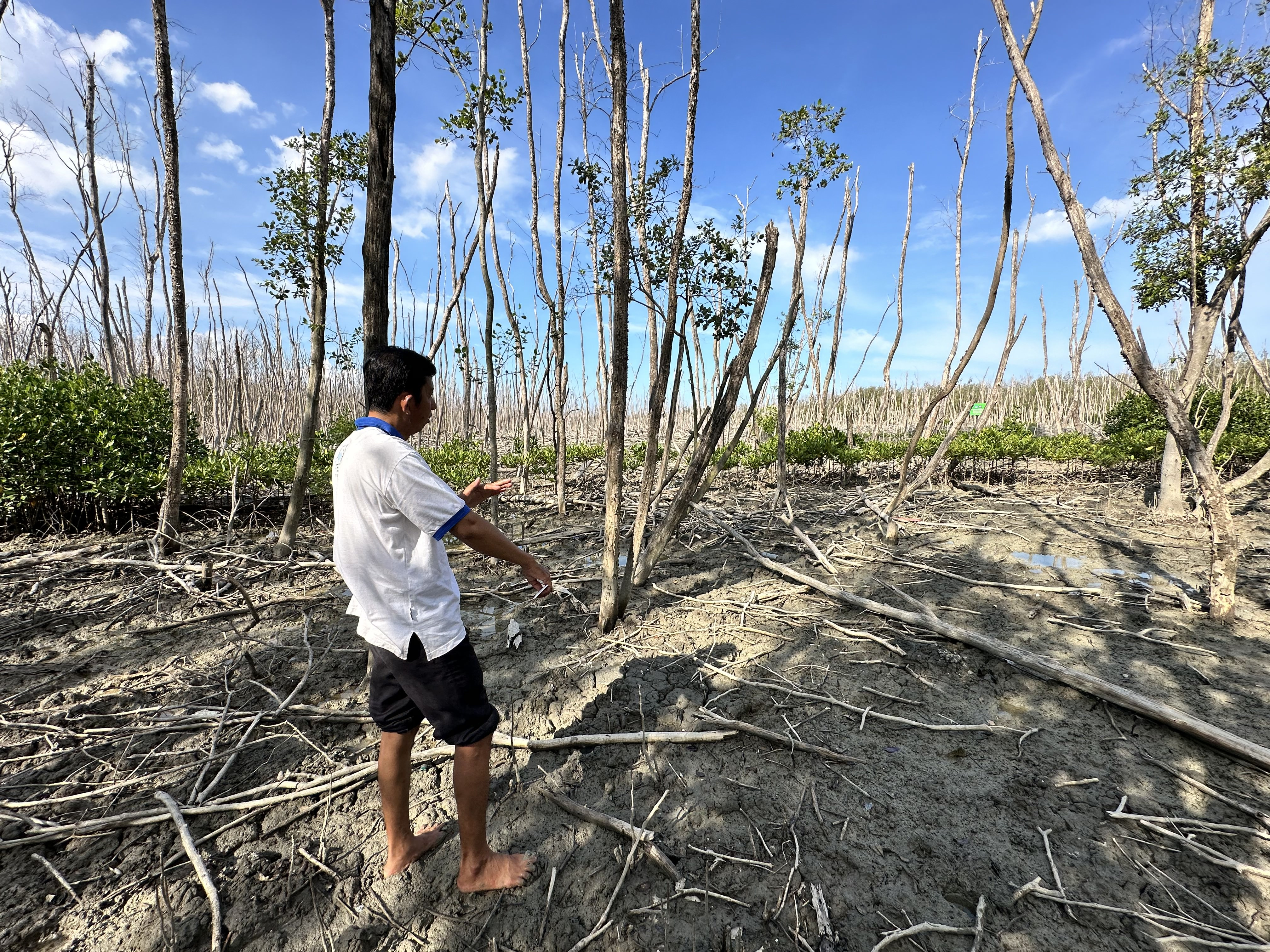 Restoring Coastal Ecosystems in East Lampung: FINCAPES Project Works with the Pasir Sakti Community